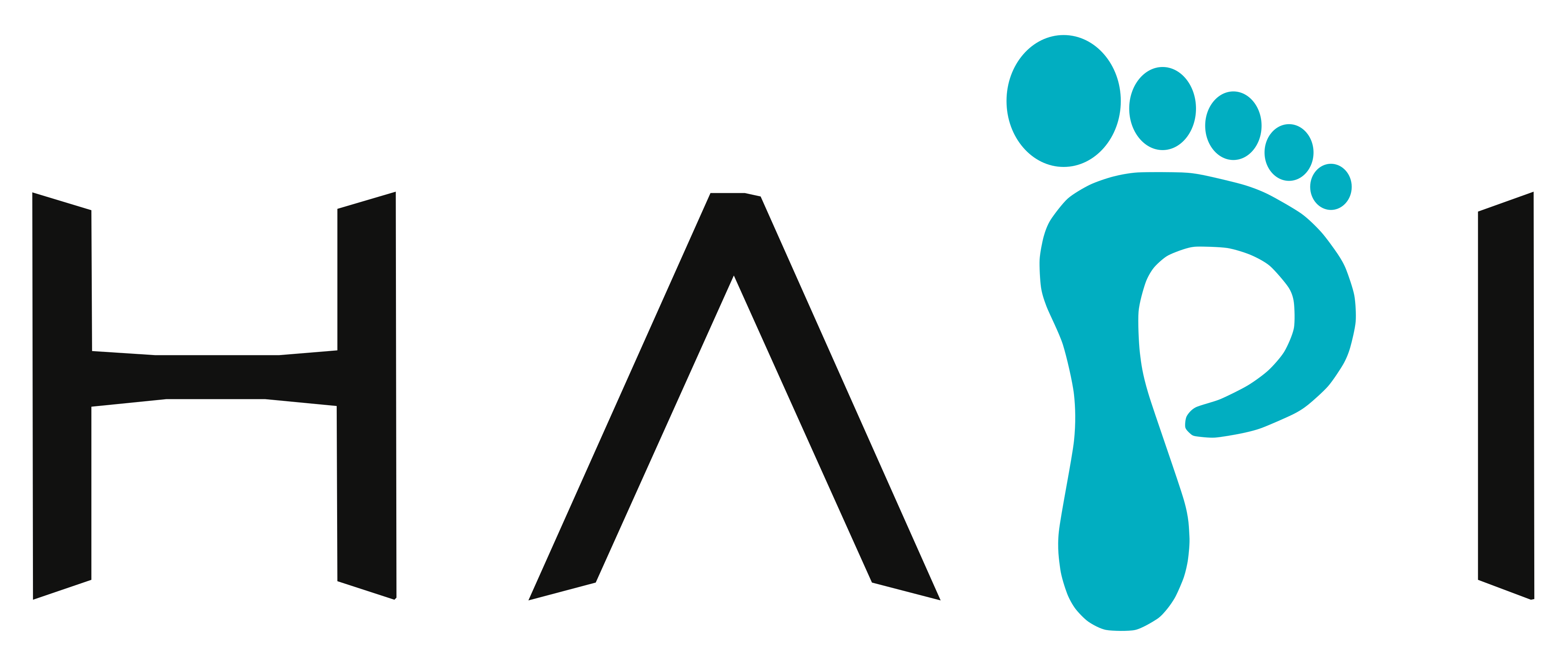 HAPI CO SHPK Logo
